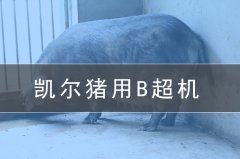 獸用b超機會給養(yǎng)豬場帶來哪些效益？